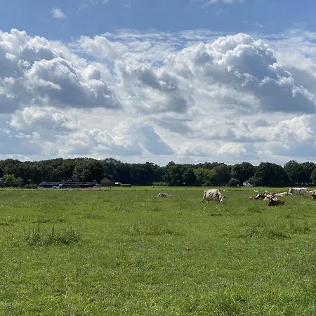 De Meerenhof Mill
