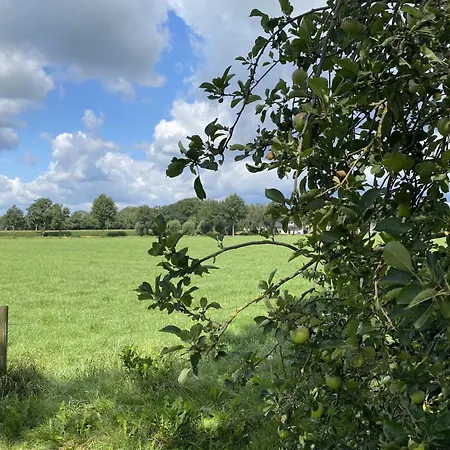 De Meerenhof Сasa de vacaciones